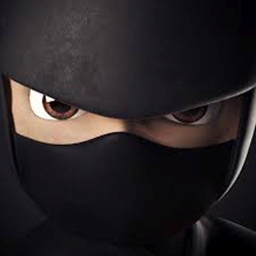 NinjasProxy